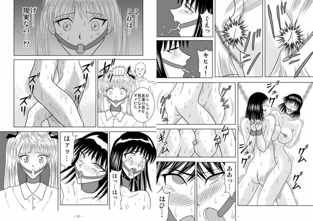 スレーブランブル Page.238