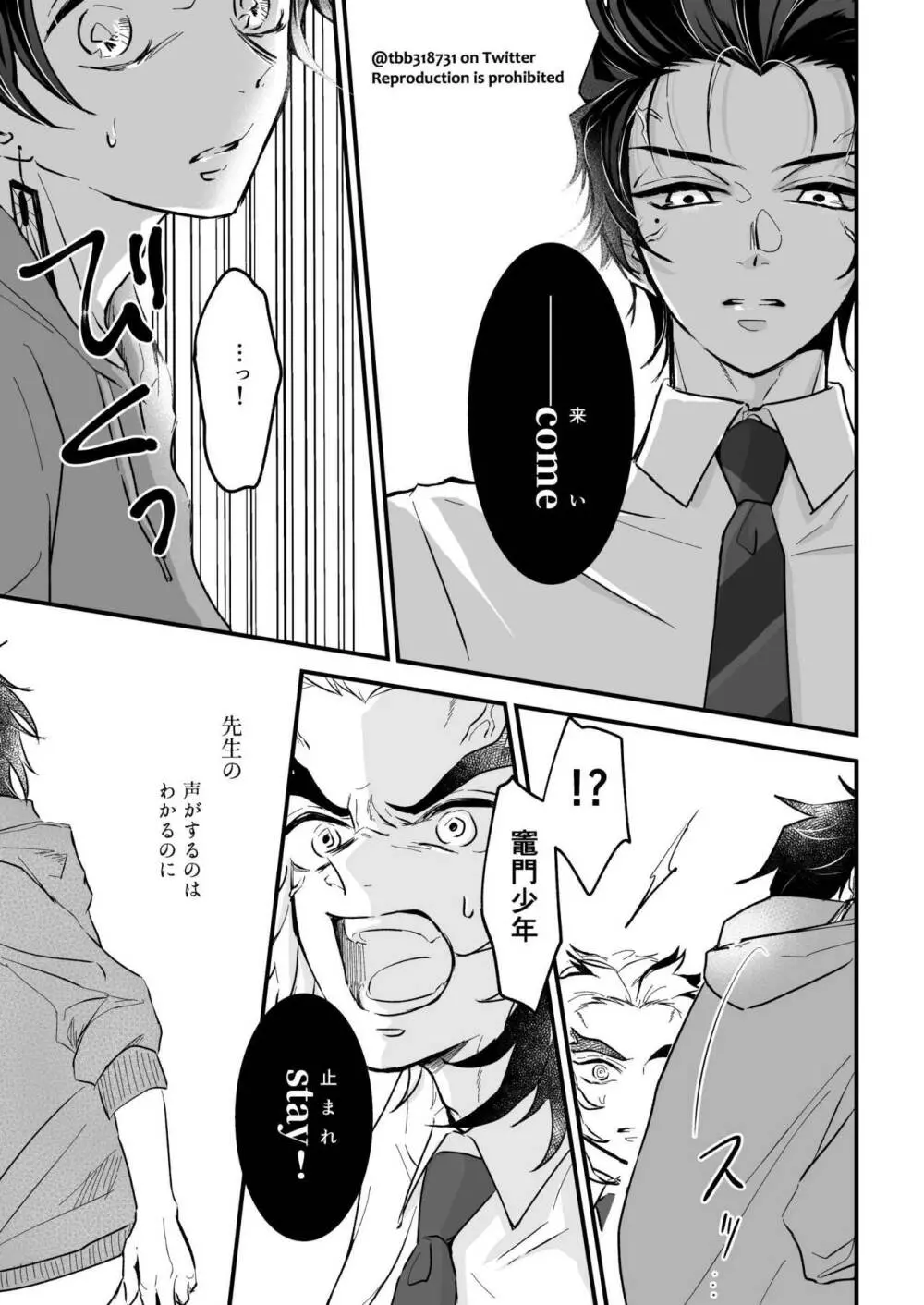 竹炭玉簾② Page.4