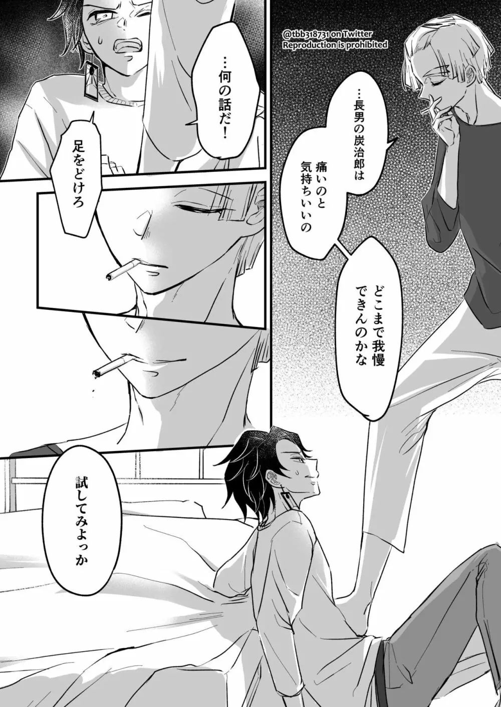 竹炭玉簾③ Page.15