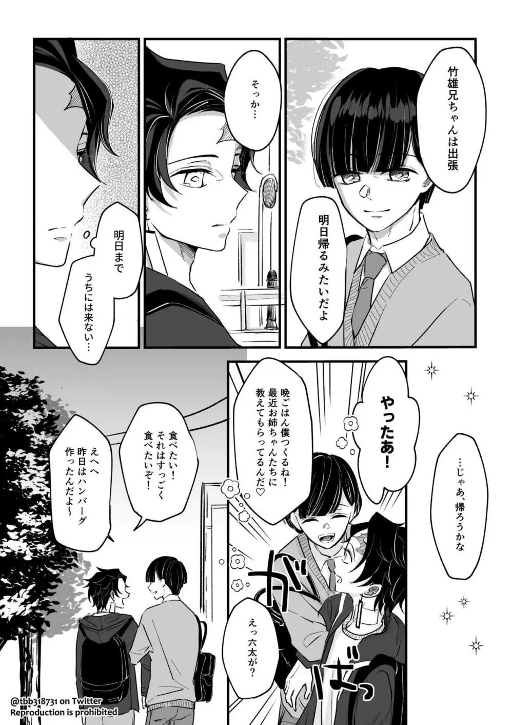 竹炭玉簾③ Page.33