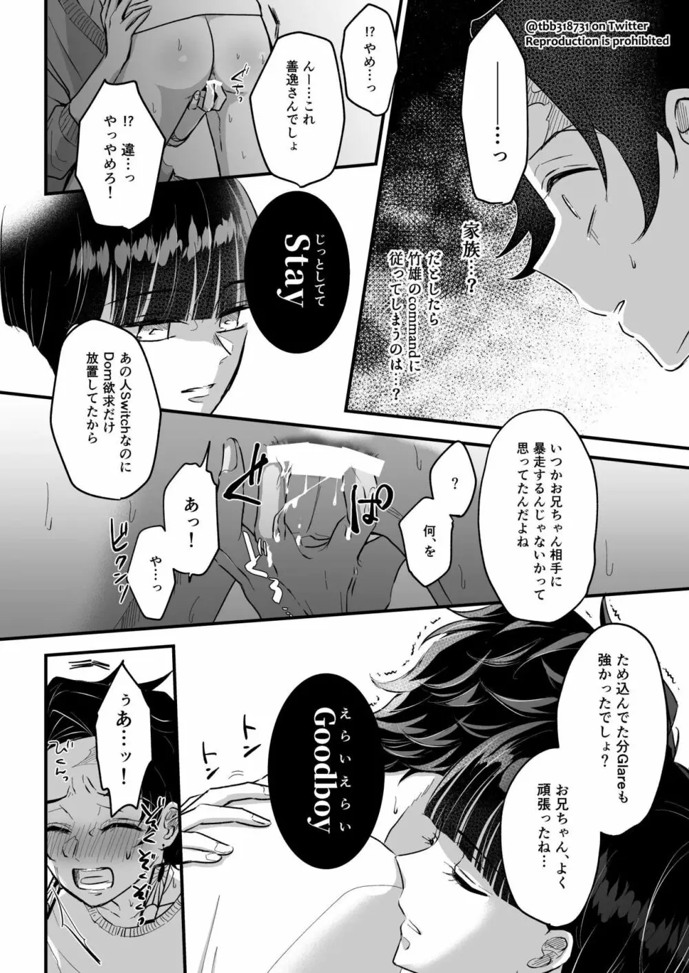 竹炭玉簾③ Page.45