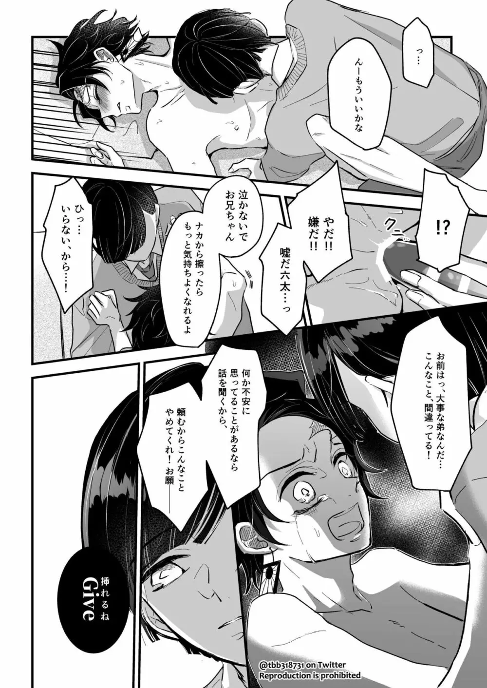 竹炭玉簾③ Page.49