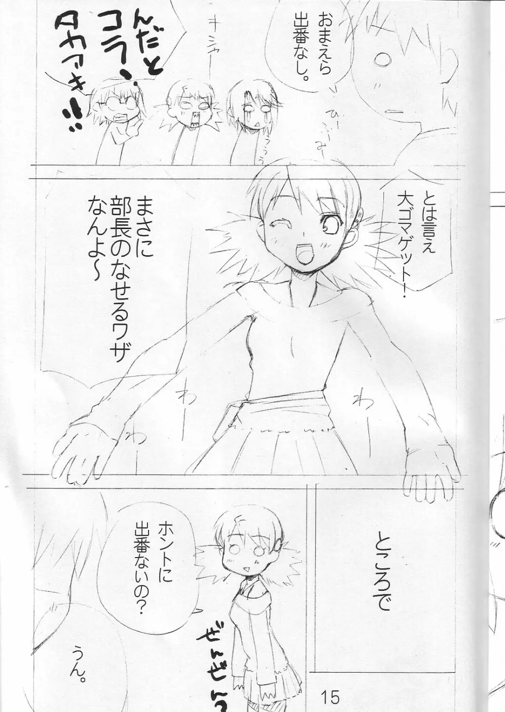 るーこ１６たーぼあるてぃめっと Page.14