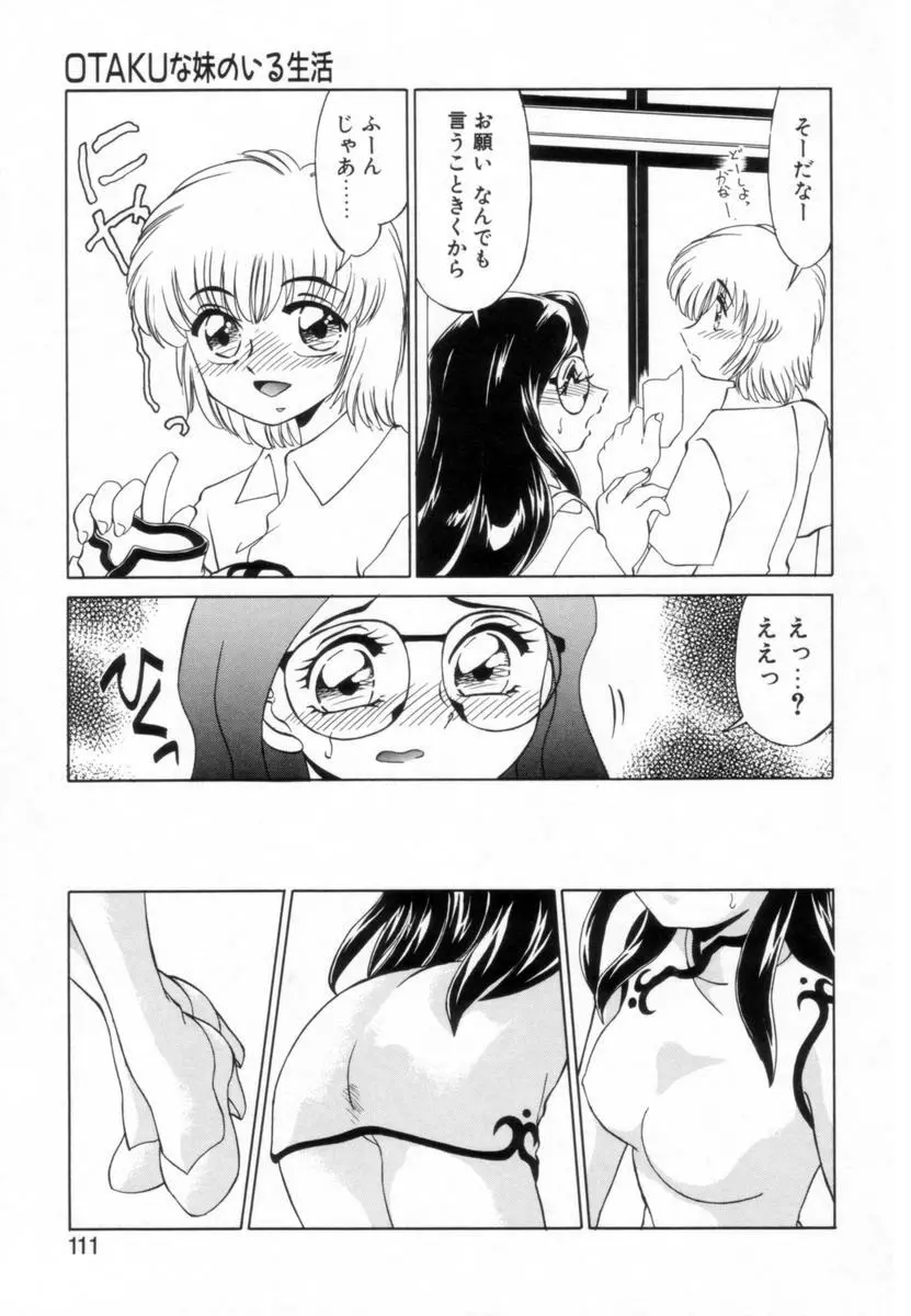 OTAKUな妹のいる生活 Page.110