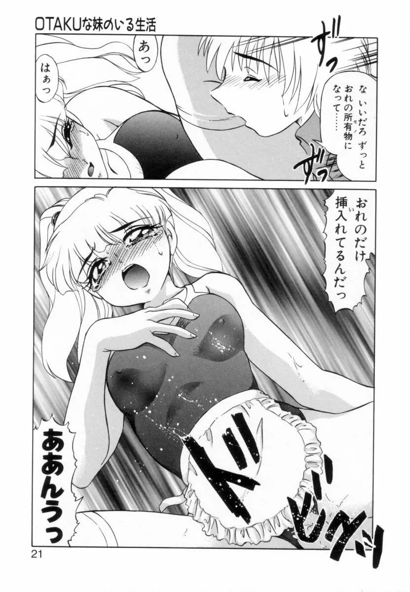 OTAKUな妹のいる生活 Page.20