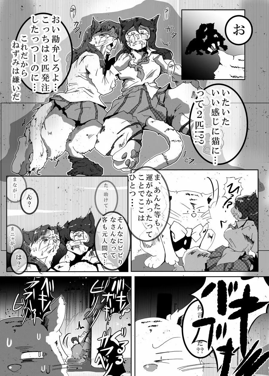 狸猫 ねこぶんのたぬき Page.17