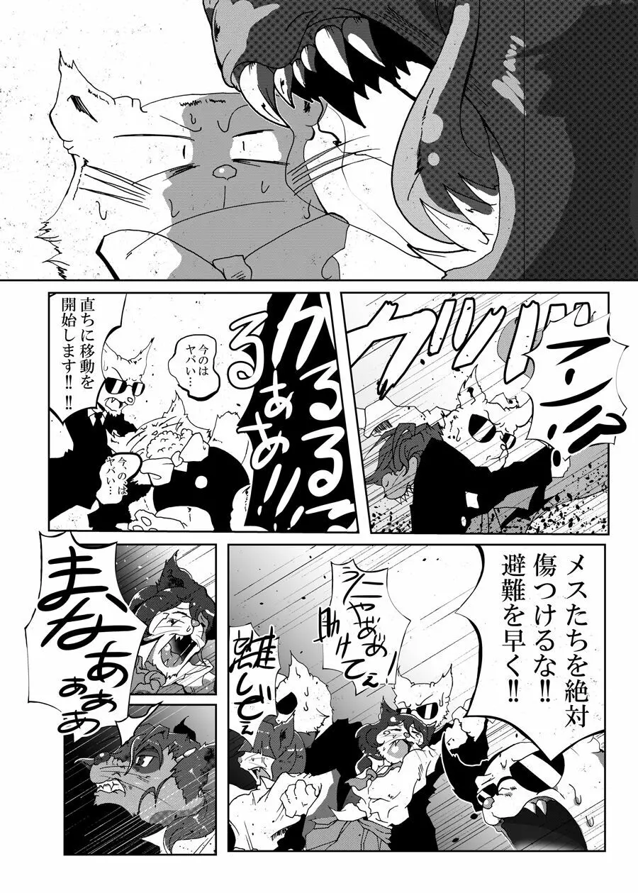 狸猫 ねこぶんのたぬき Page.20