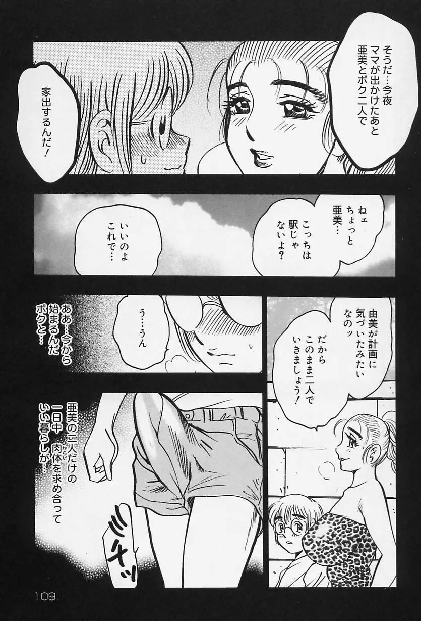 淑女の性癖 Page.111