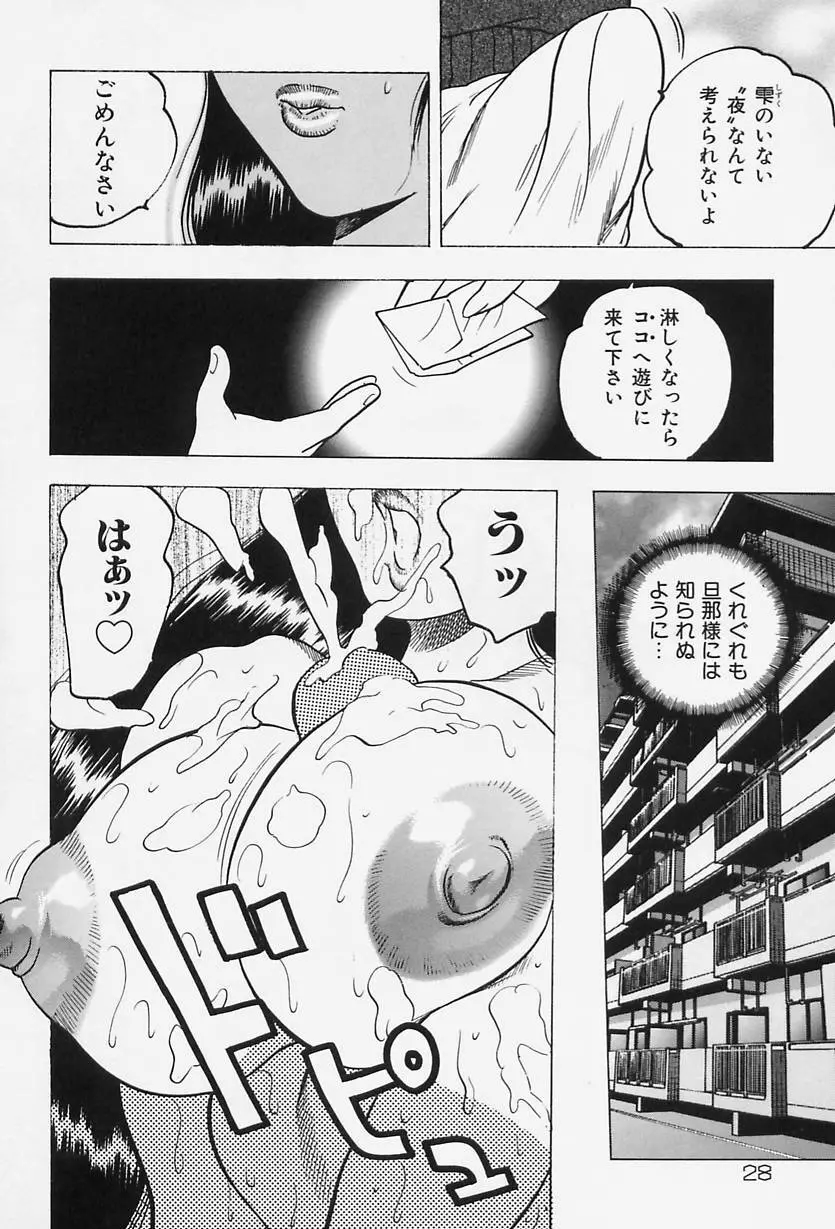 淑女の性癖 Page.30