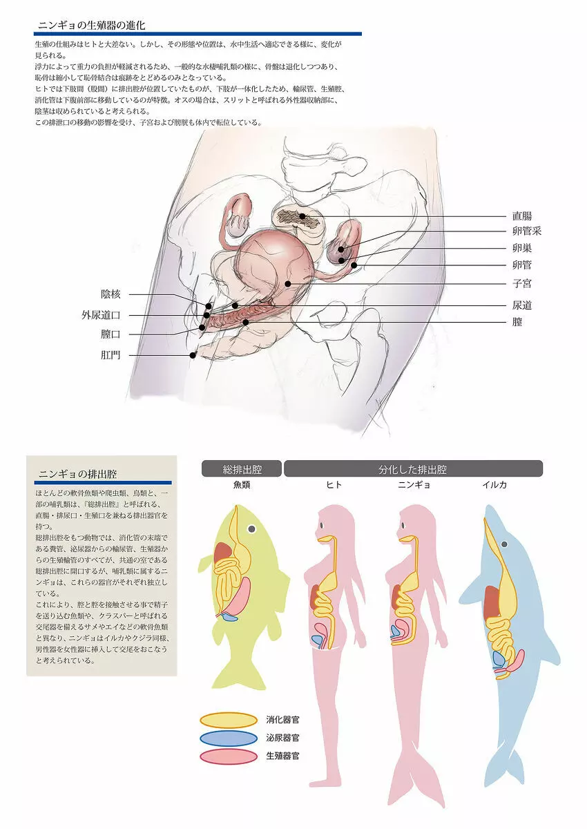 ビッチマーメイド 01-15 Page.30