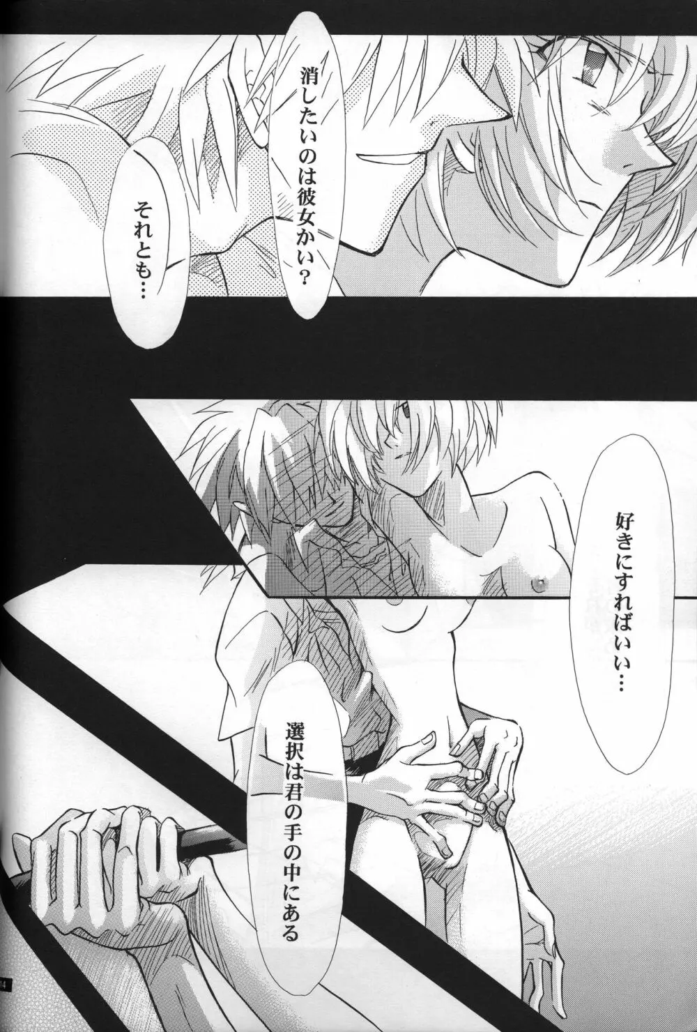 <新約> NEON GENESIS document R Page.15