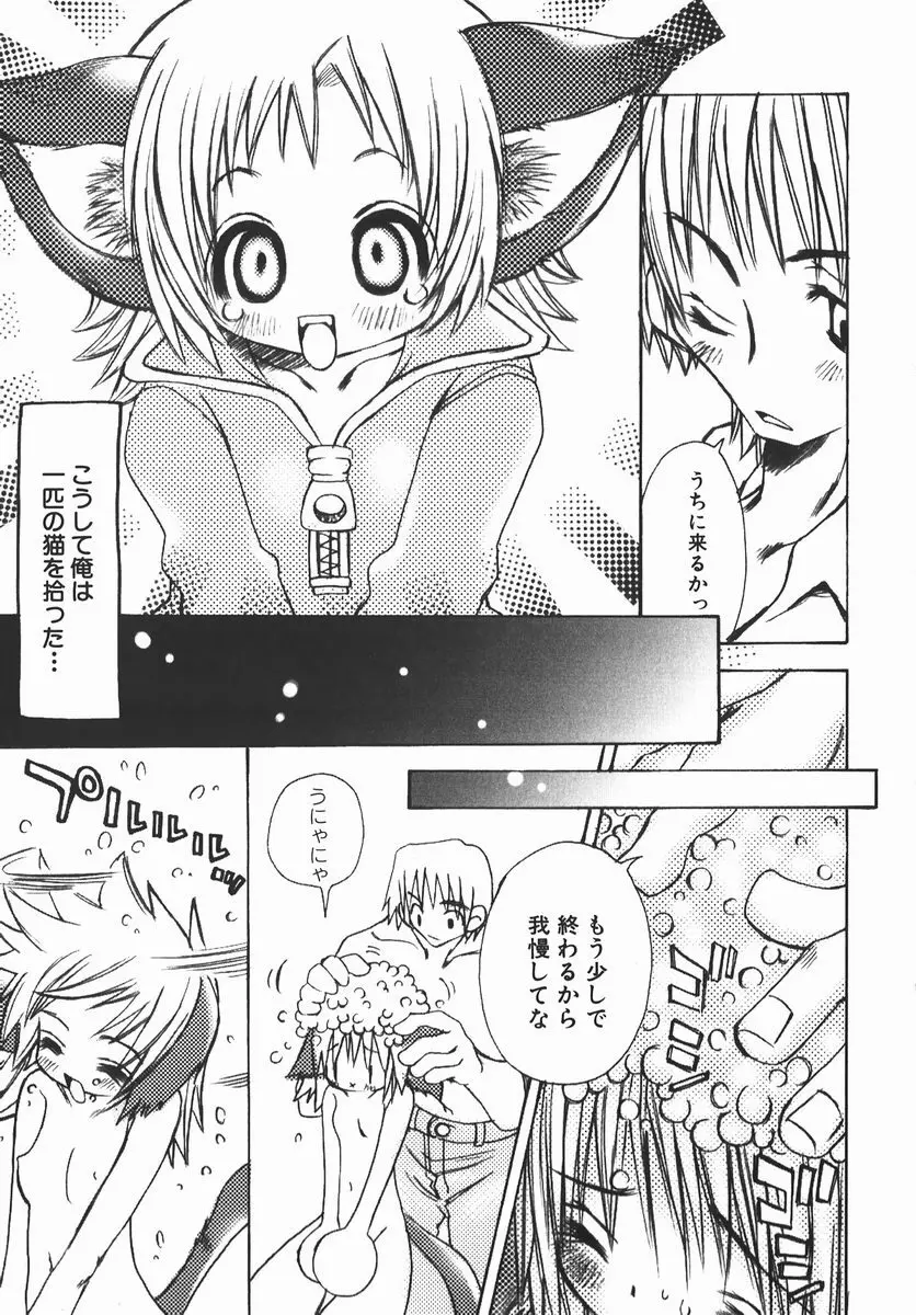 許してお兄さま Page.112