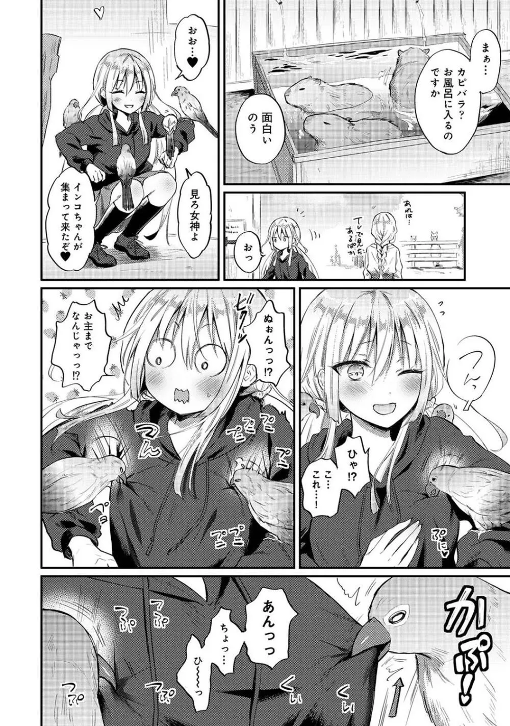 COMIC アナンガ・ランガ Vol.95 Page.264