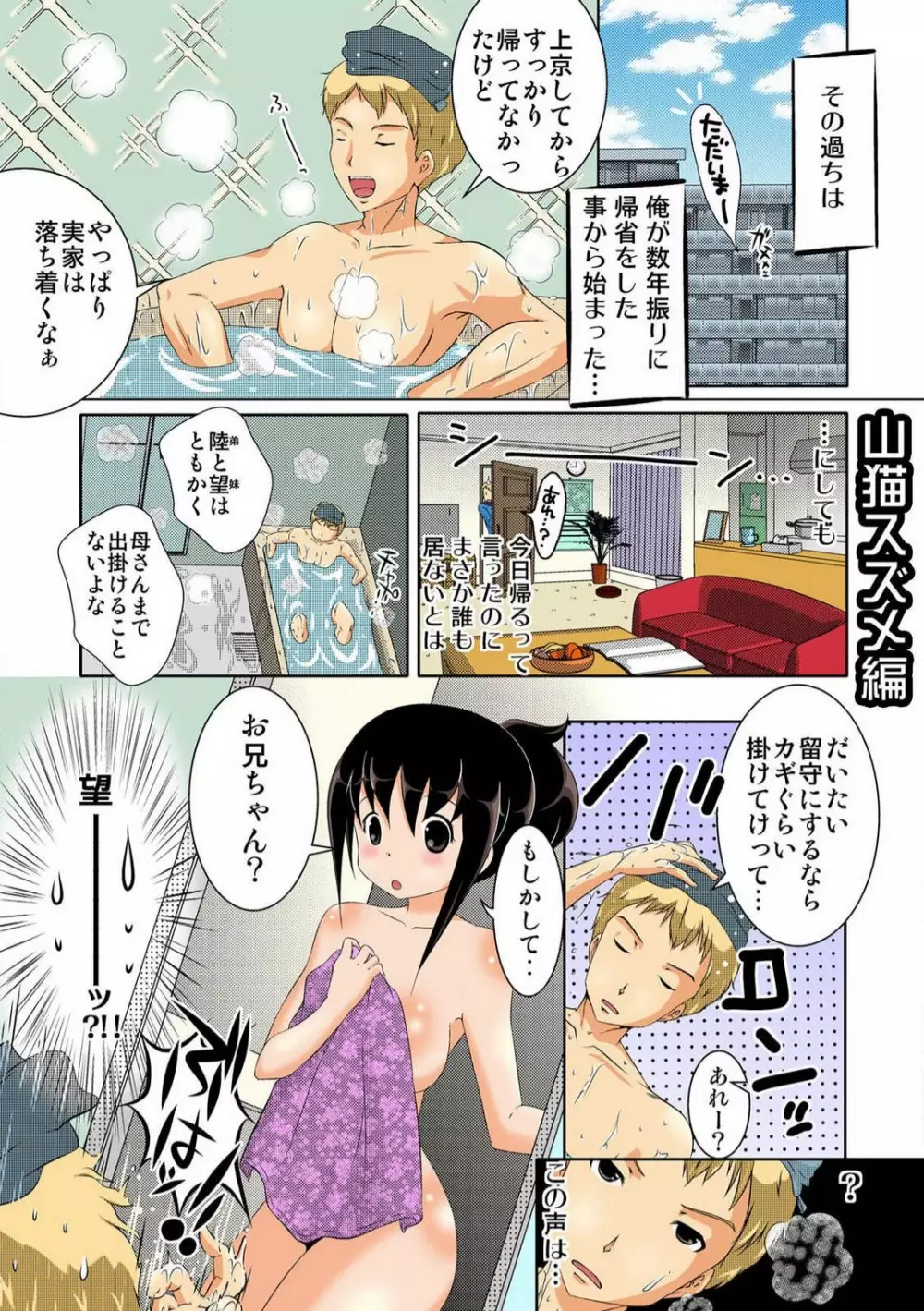 妹いじり〜親の目を盗んでヤリたかった事〜 Page.45