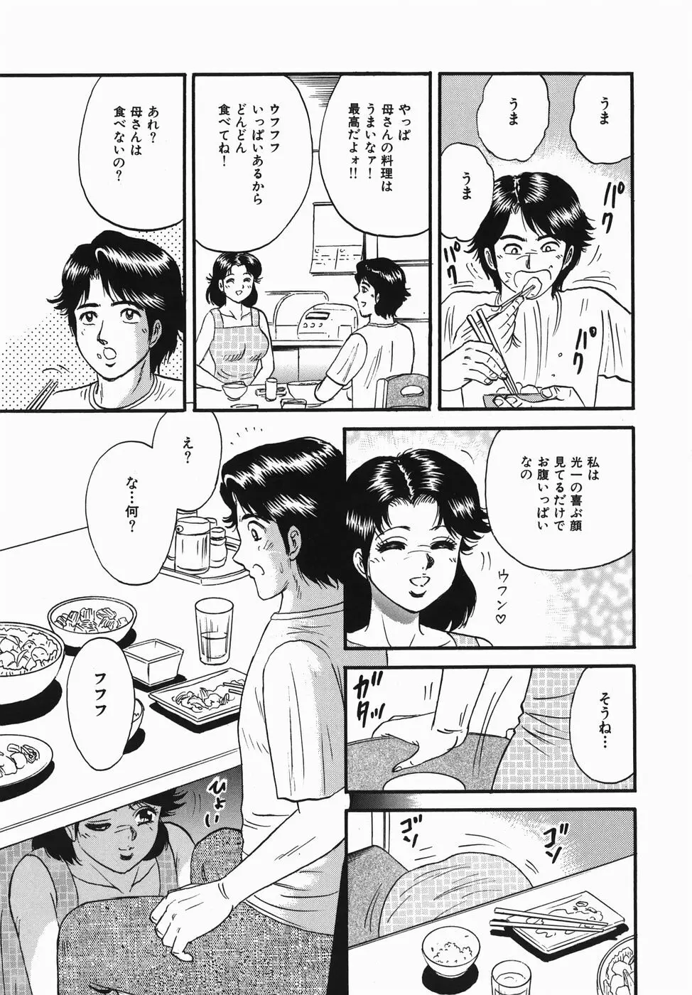 母と息子の情事 Page.29