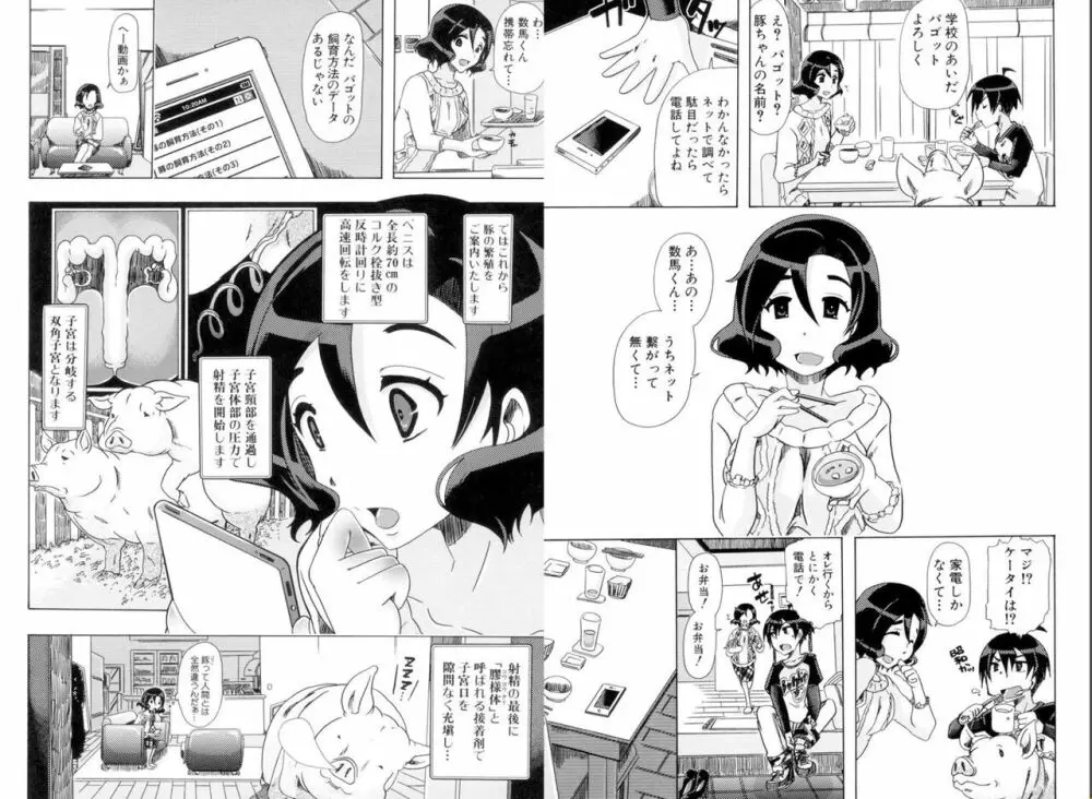 獣姦肉便器「かすみ」 Page.73