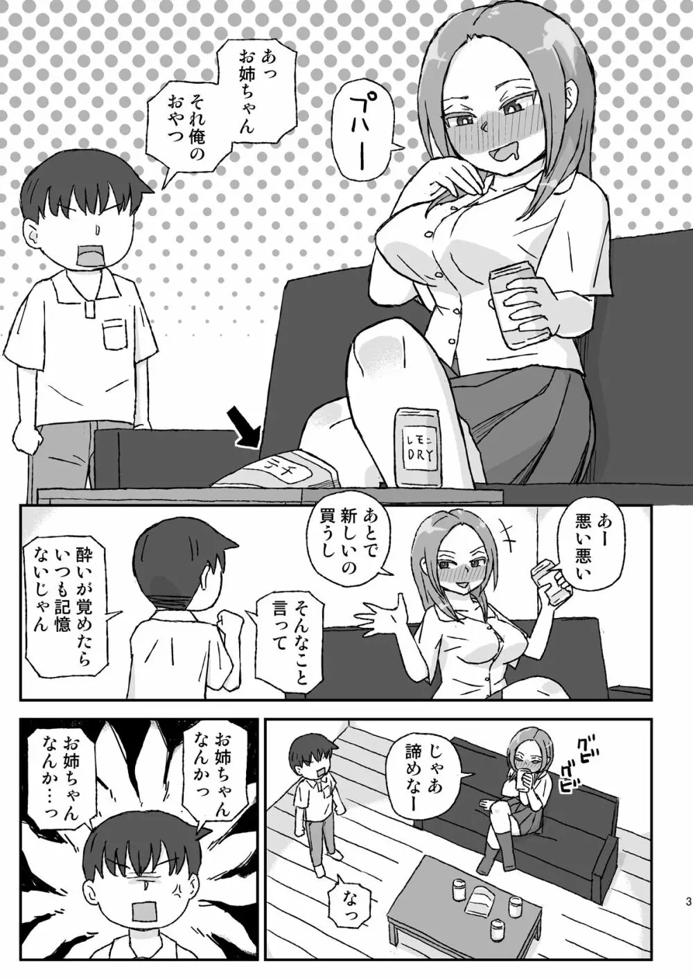 酔ったお姉ちゃんは何をされても記憶にない Page.3