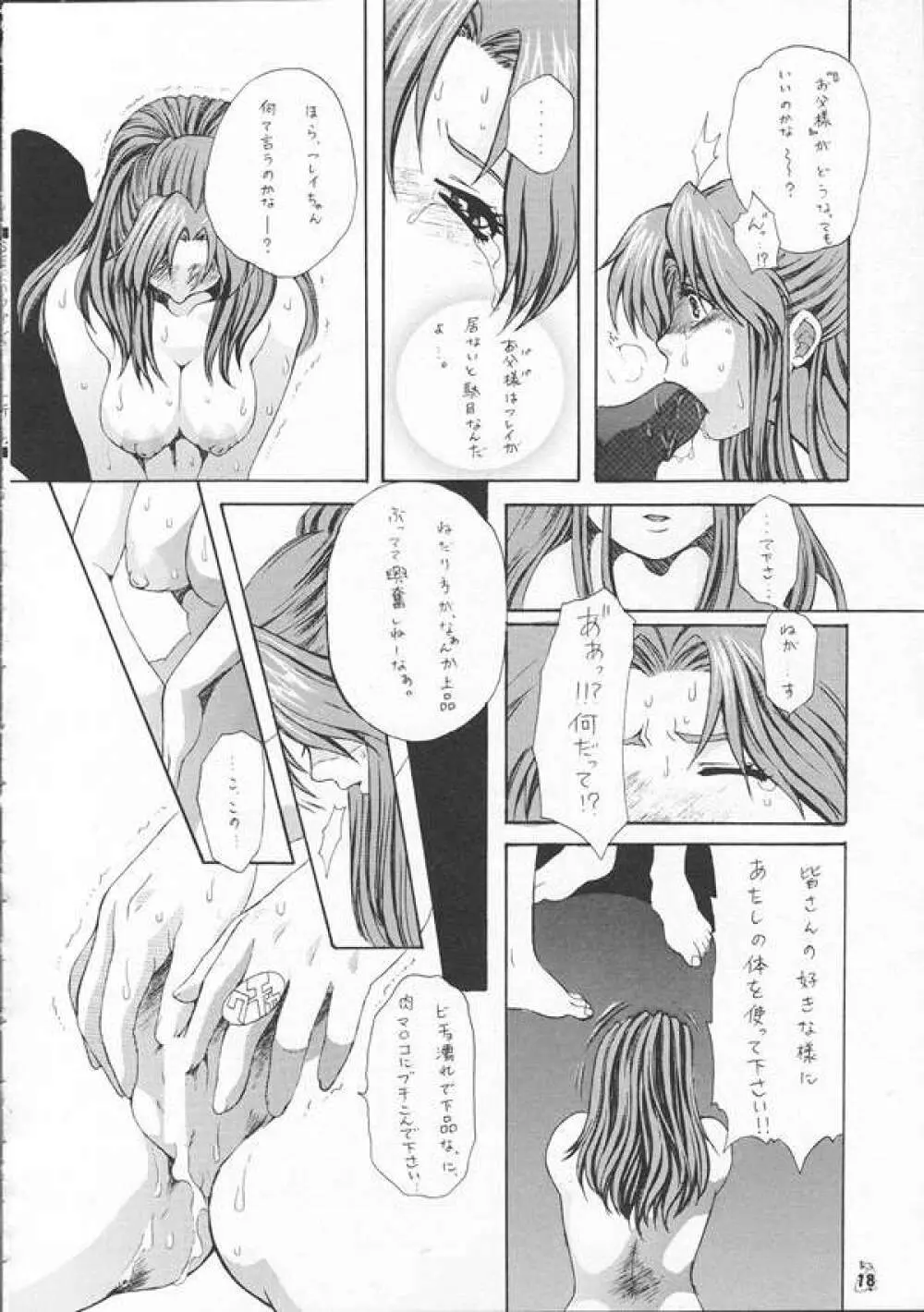 SEEDファンのお姉ちゃんが見たら怒るから見ないで頂戴本2 Page.17