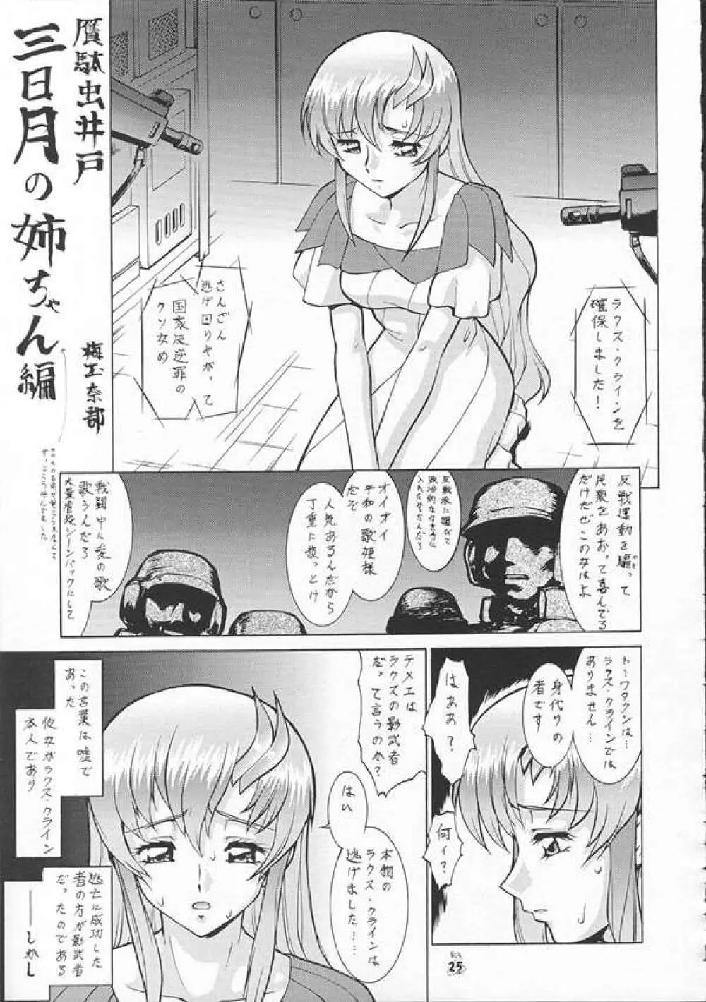 SEEDファンのお姉ちゃんが見たら怒るから見ないで頂戴本2 Page.24