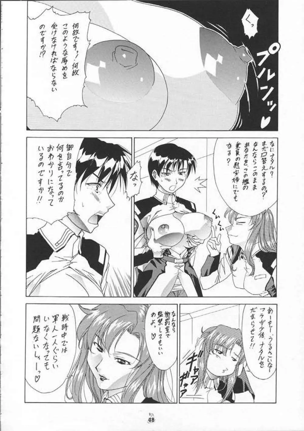 SEEDファンのお姉ちゃんが見たら怒るから見ないで頂戴本2 Page.47