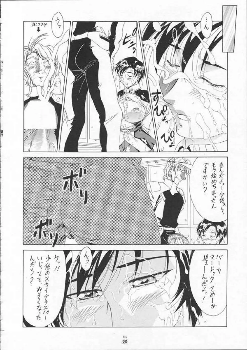 SEEDファンのお姉ちゃんが見たら怒るから見ないで頂戴本2 Page.49