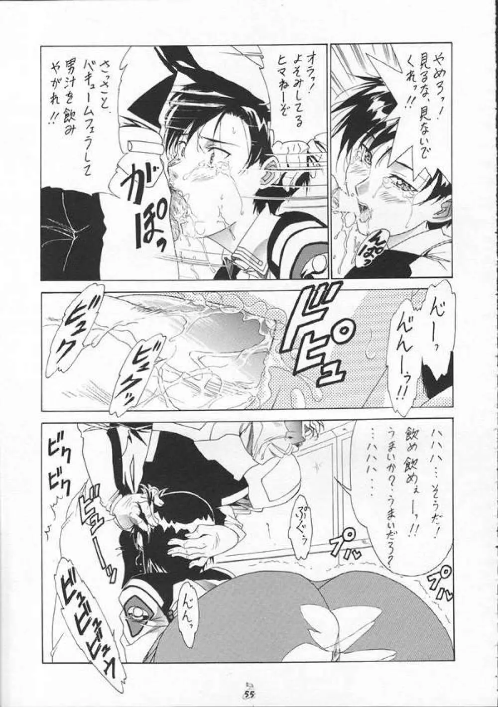 SEEDファンのお姉ちゃんが見たら怒るから見ないで頂戴本2 Page.54