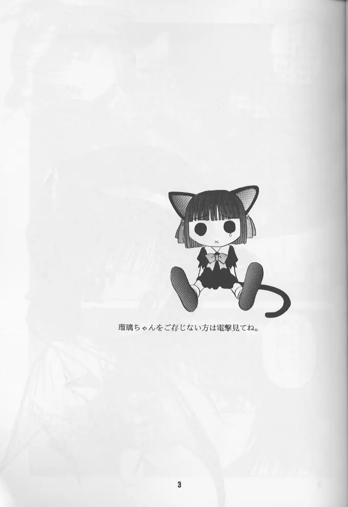 瑠璃 いやらしい子猫のしつけ方 Page.2