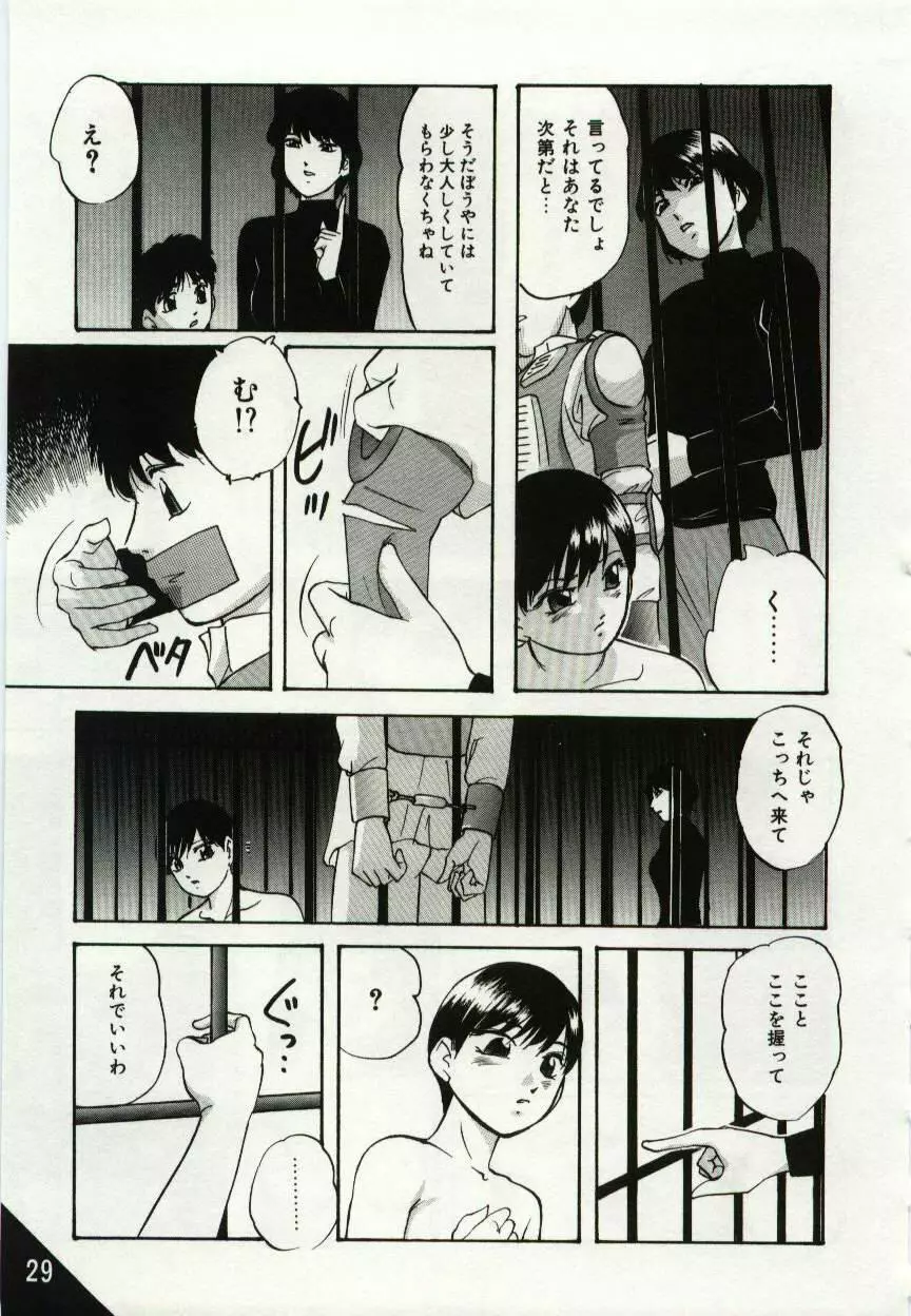 檻の中の少女たち Page.29