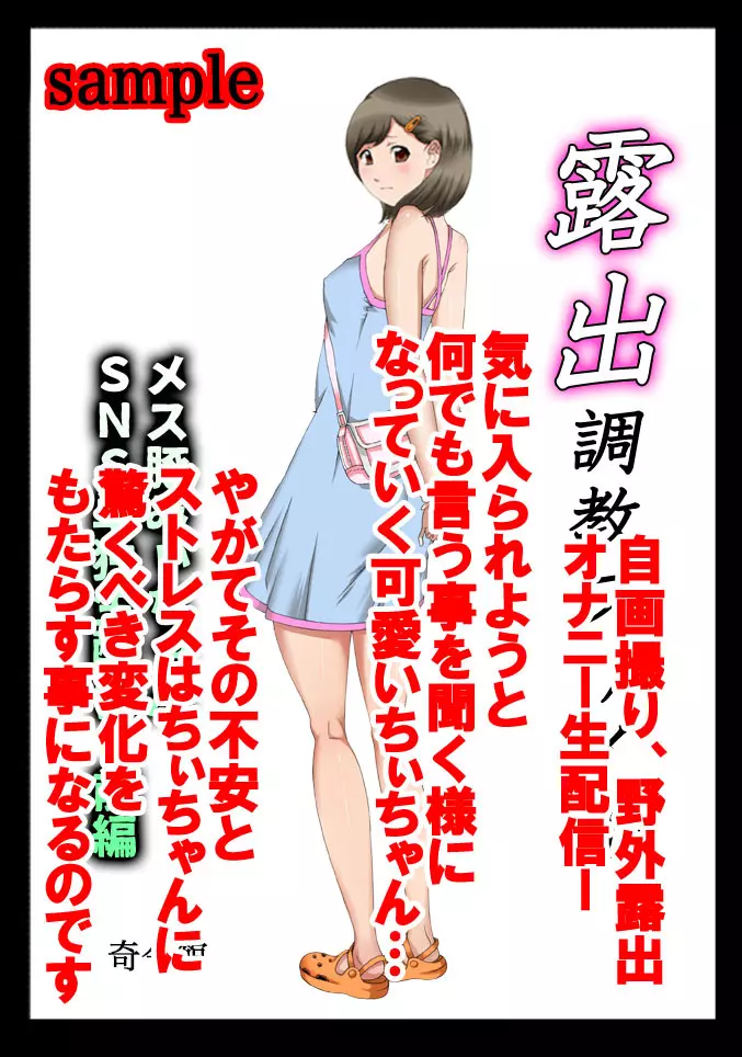 露出調教ファイル メス豚みぃちゃんSNS単独生配信〜前後編パック〜 Page.4