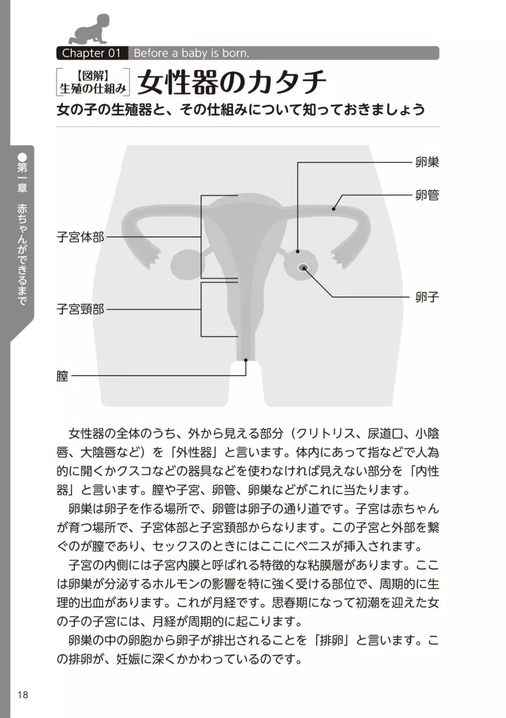 やらなくてもまんがで解る性交と妊娠 赤ちゃんのつくり方 Page.20