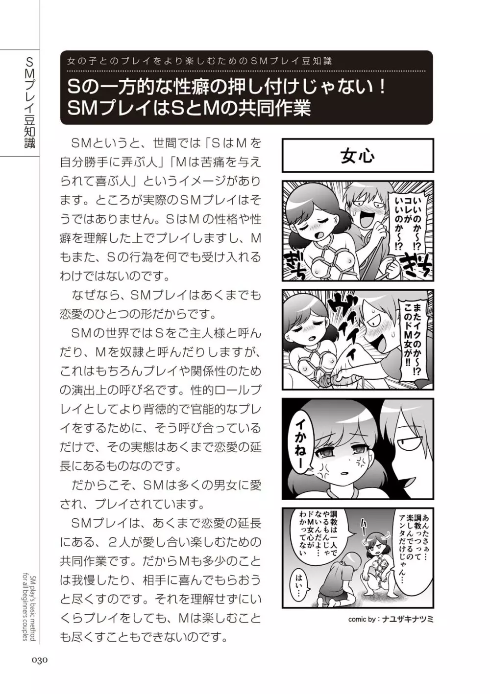 いますぐデキる 図説SMプレイマニュアル Page.30