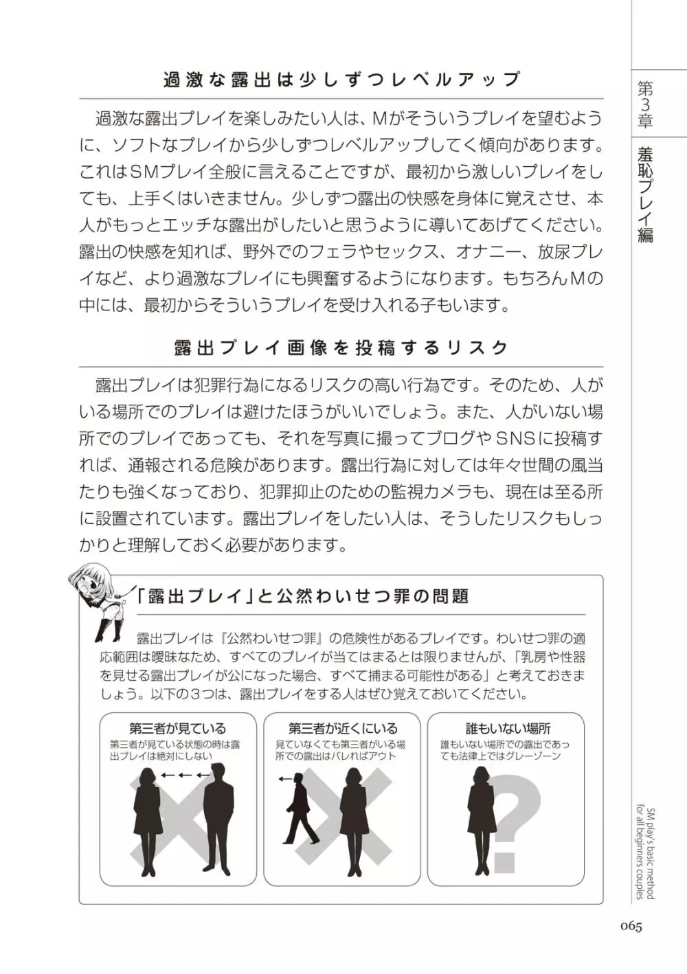 いますぐデキる 図説SMプレイマニュアル Page.65