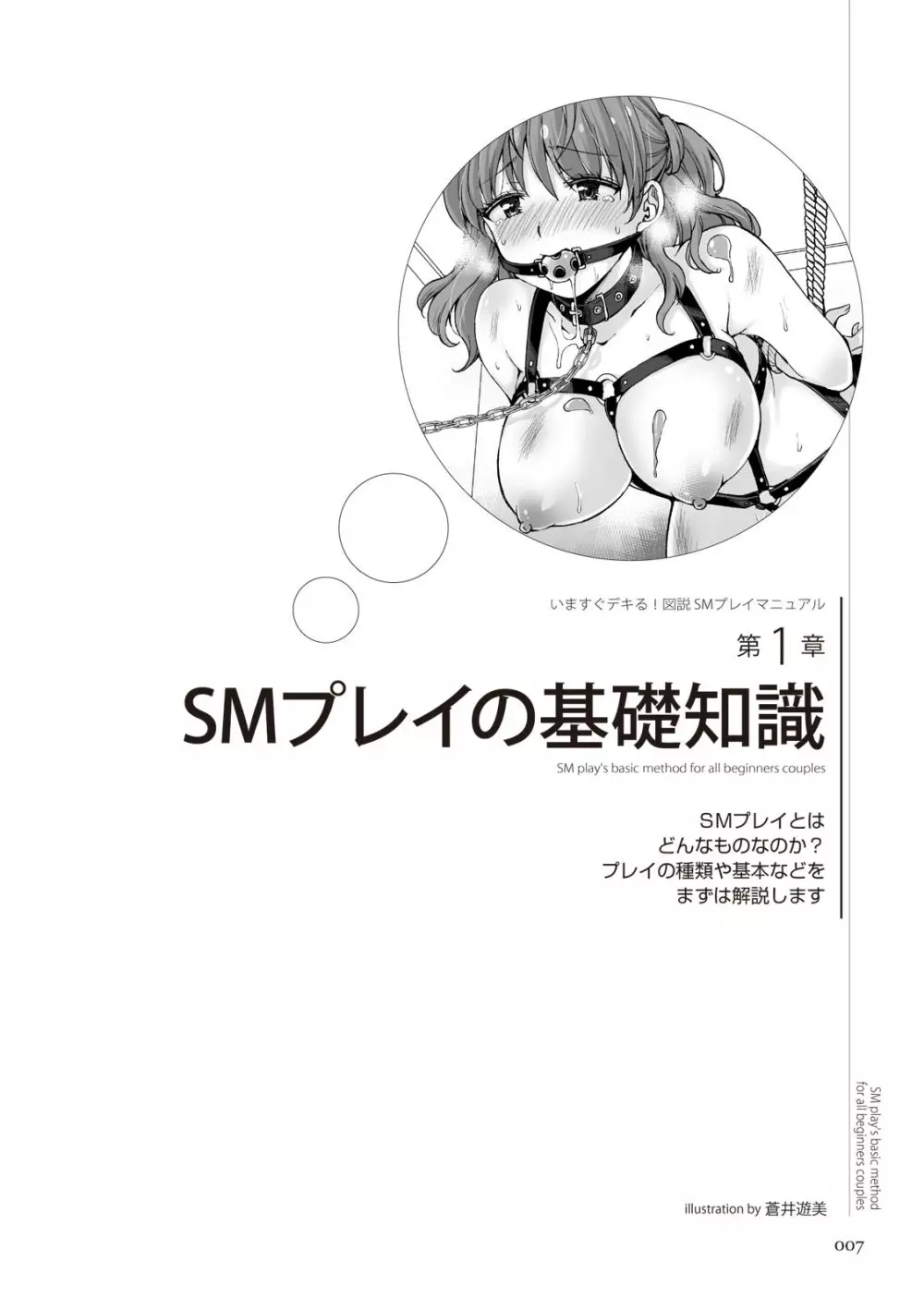 いますぐデキる 図説SMプレイマニュアル Page.7