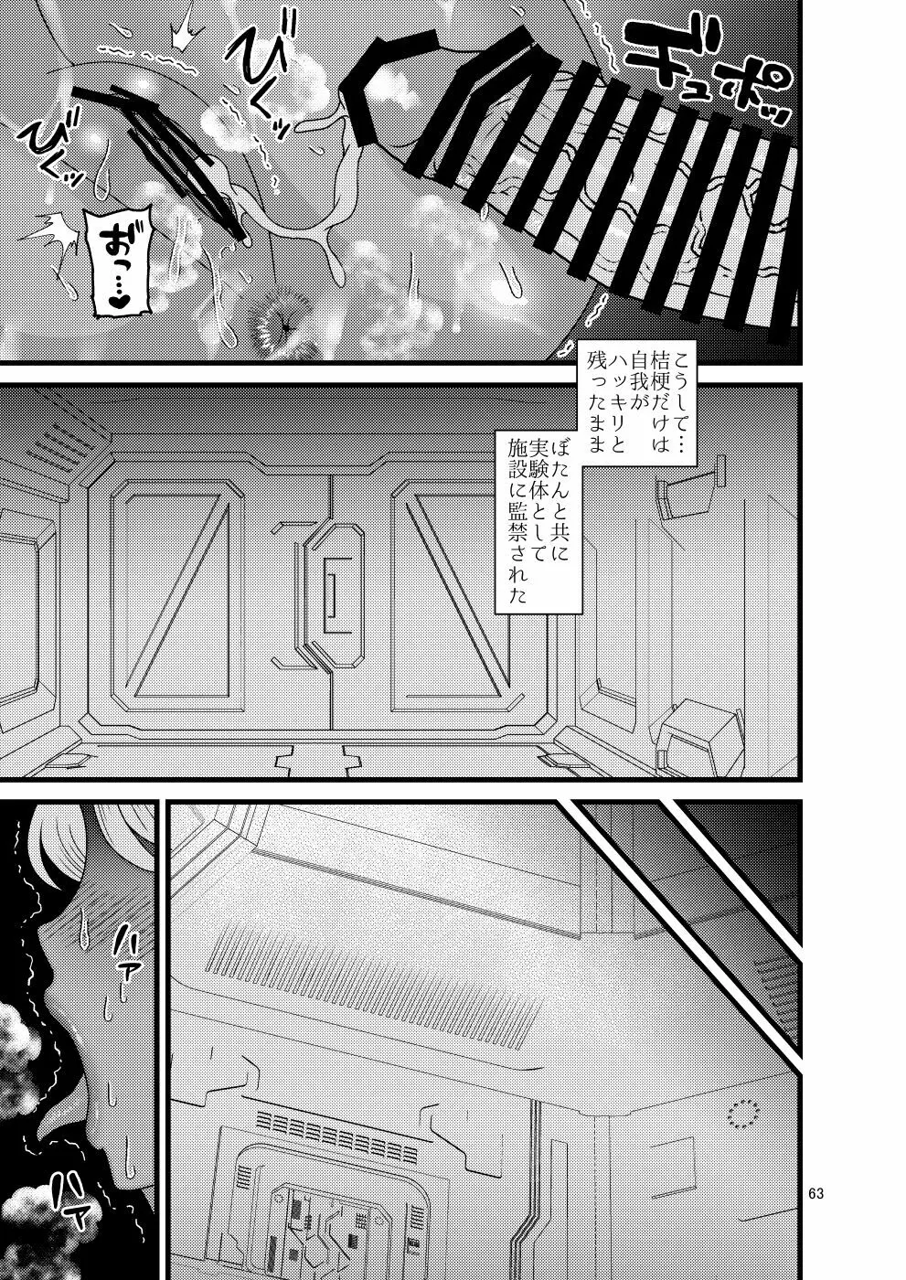 堕散る華 牡丹と桔梗編 弐 Page.63