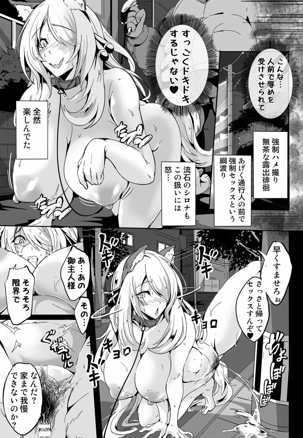 シロナさんはなんかこう…とても残念でエッチです Page.23