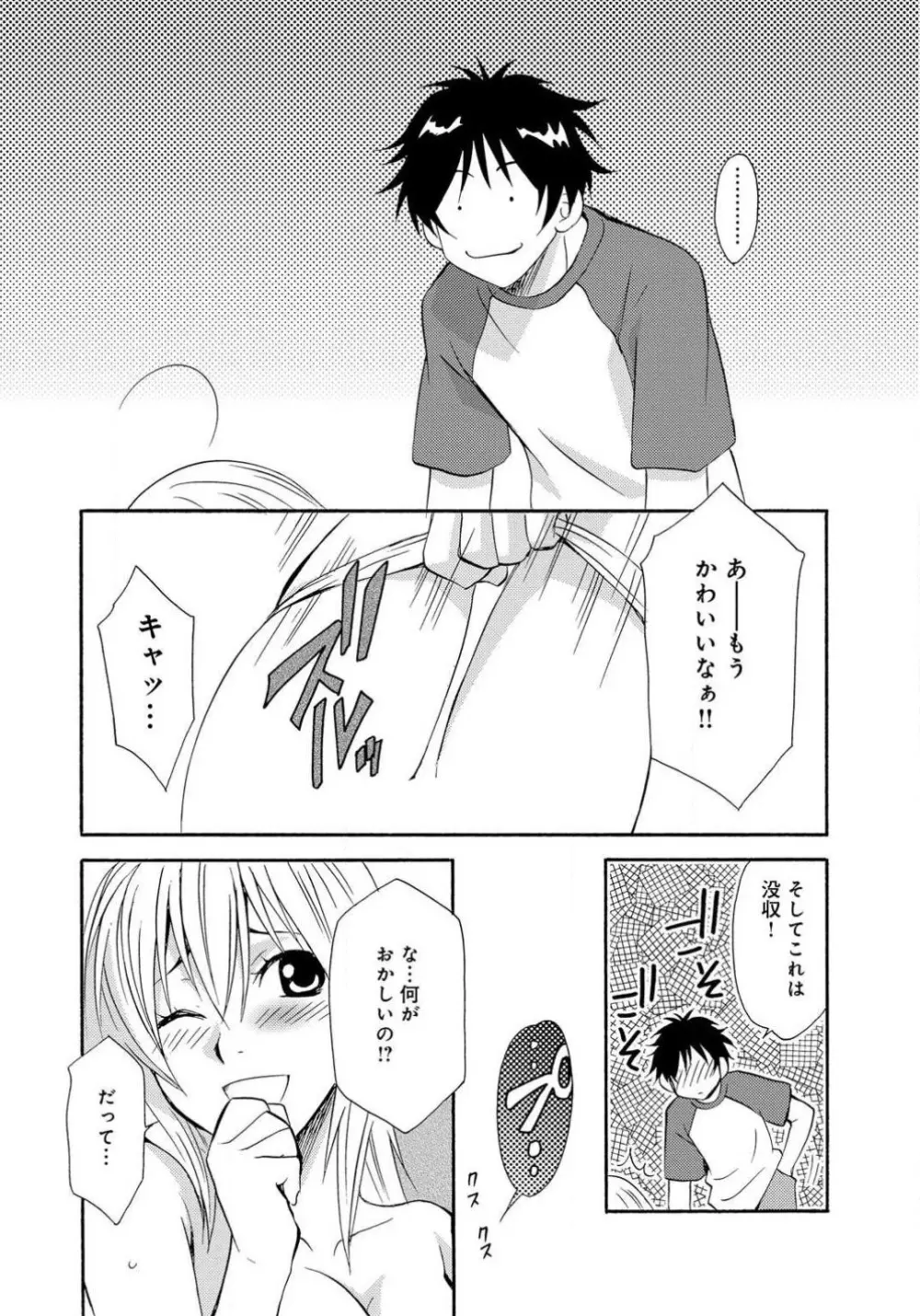 姉の肉蜜 Page.15