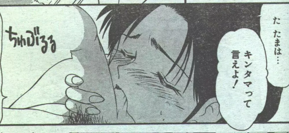 コットンコミック 1994年08月号 Page.196