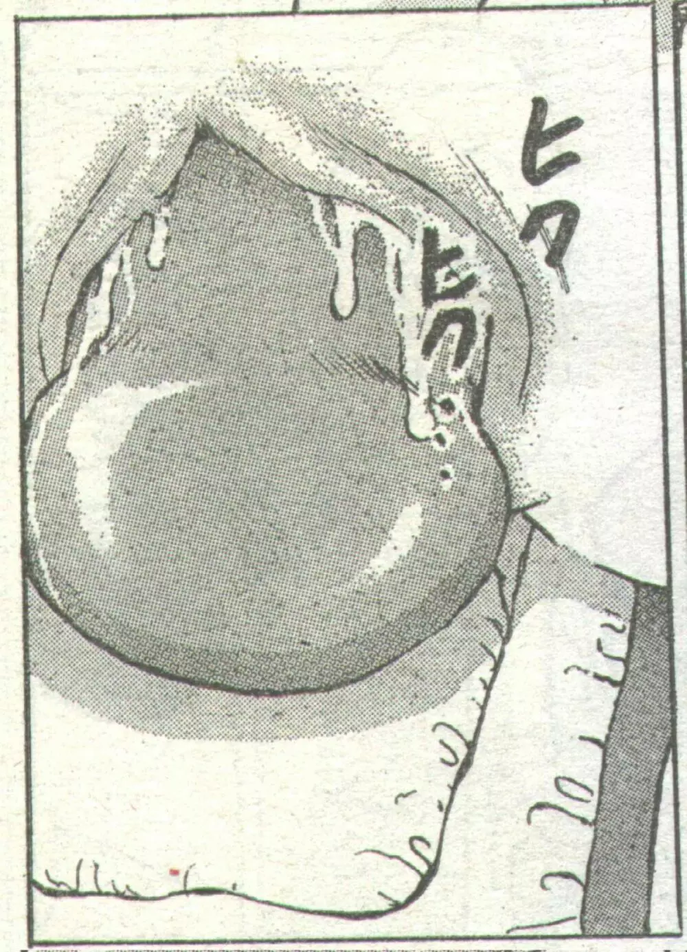 コットンコミック 1995年03月号 Page.24