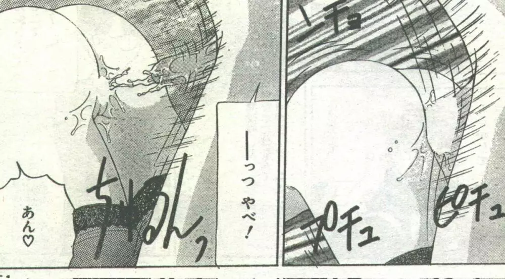 コットンコミック 1995年03月号 Page.56