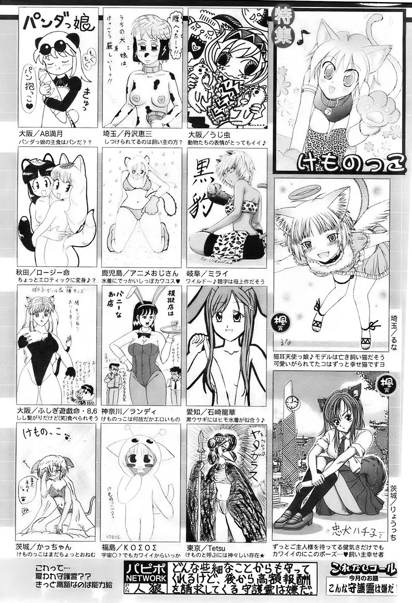 COMIC パピポ 2007年11月号 Page.247