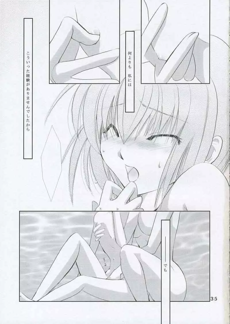 月の光と影の輪舞曲 Page.34