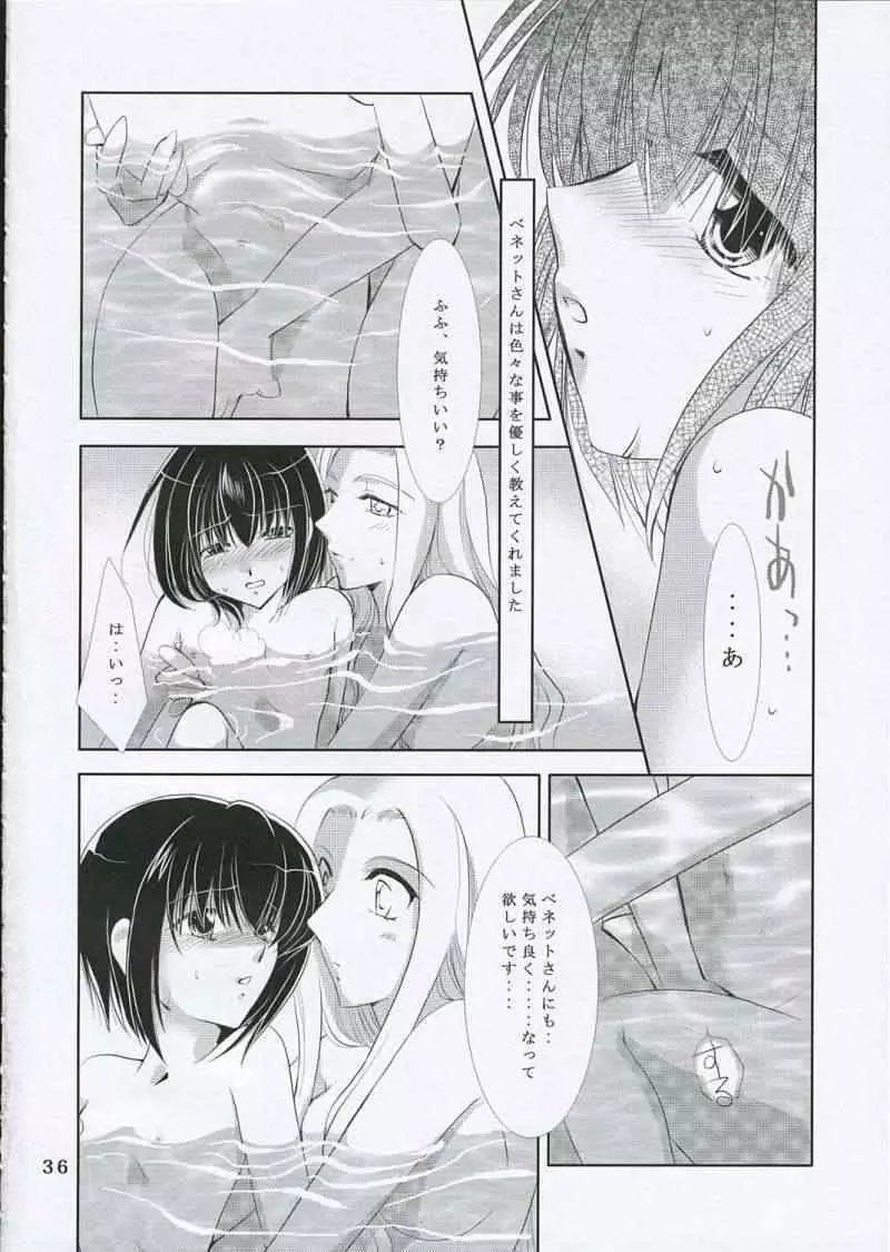 月の光と影の輪舞曲 Page.35