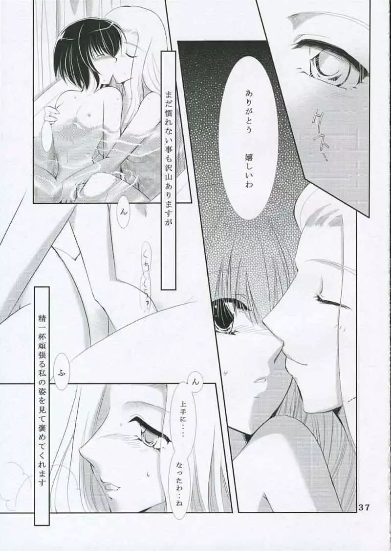 月の光と影の輪舞曲 Page.36