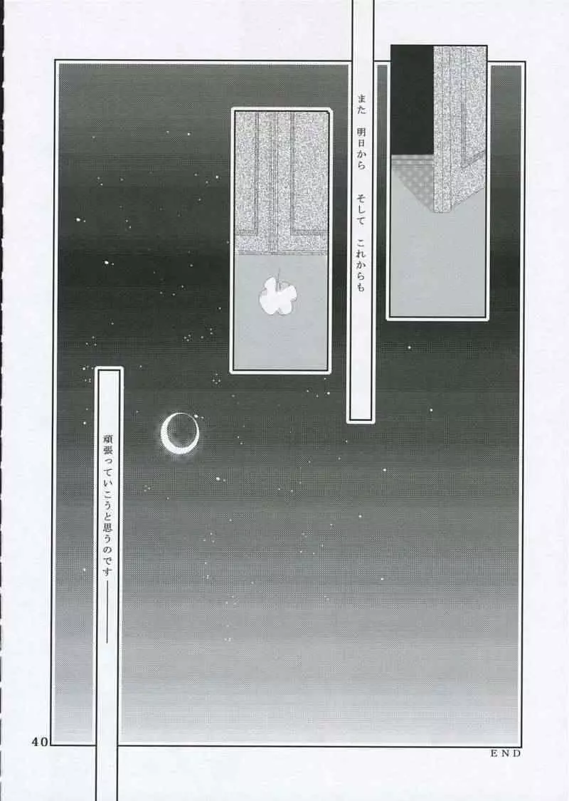 月の光と影の輪舞曲 Page.39