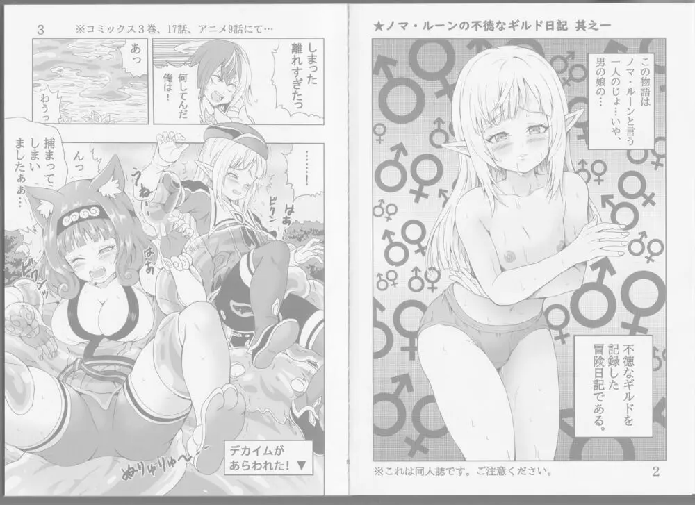 ノマルーンの不徳なギルド日記 Page.4