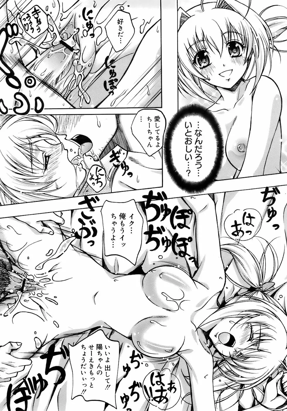 COMIC メガプラス 2007年12月号 Vol.50 Page.339