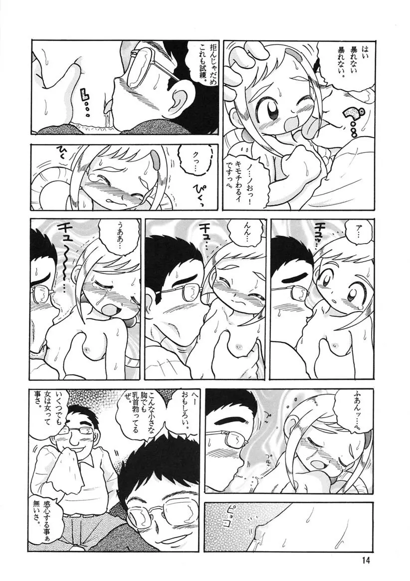 HI-PHS Ⅴ Page.13