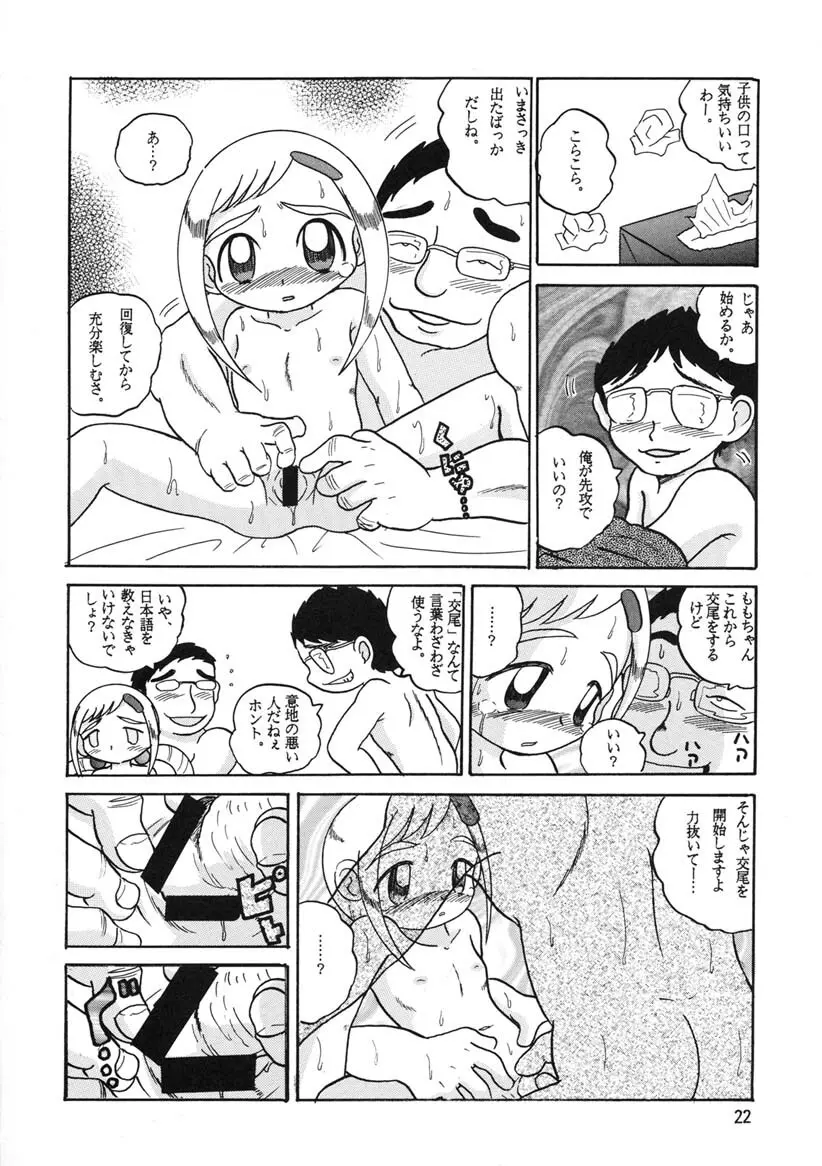 HI-PHS Ⅴ Page.21