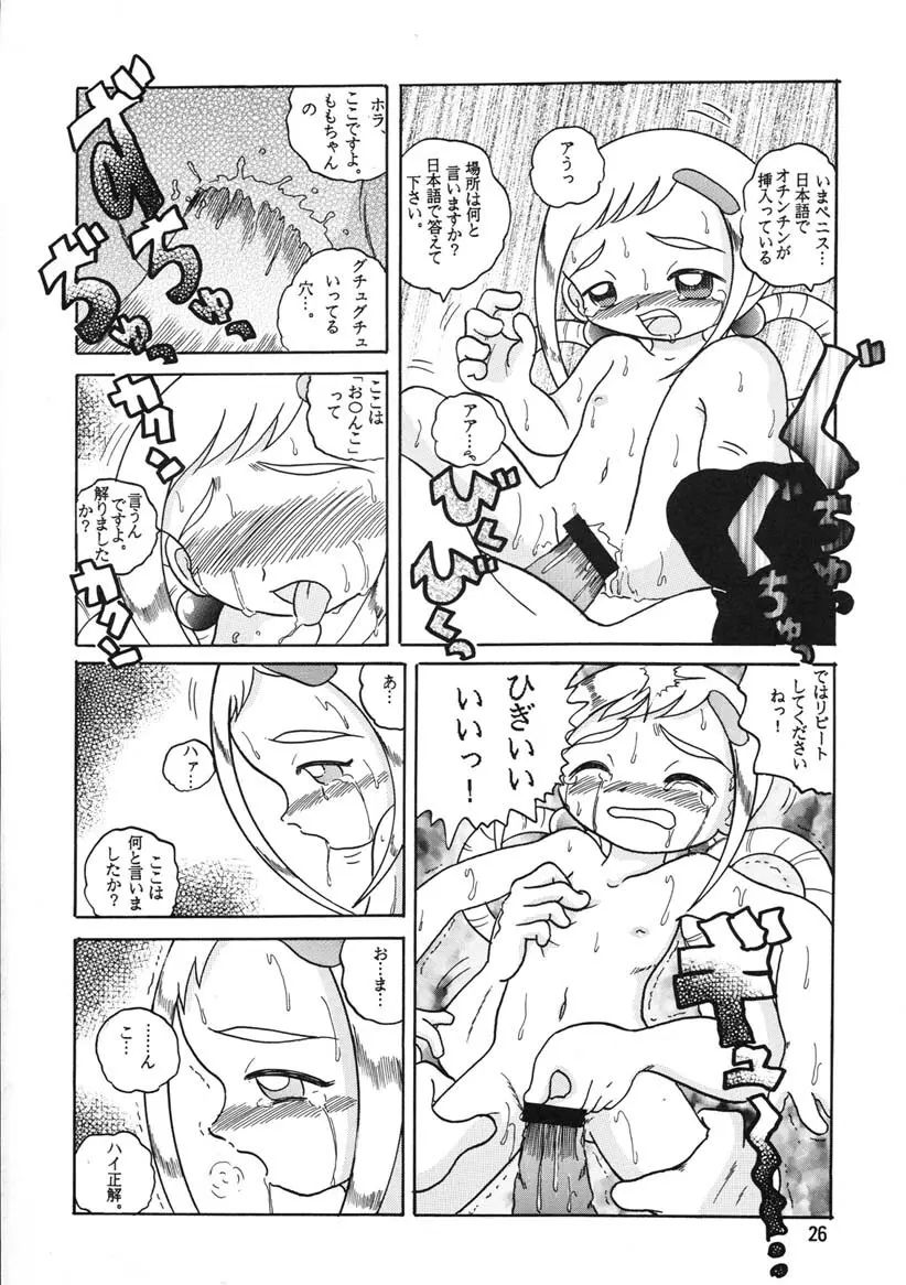 HI-PHS Ⅴ Page.25