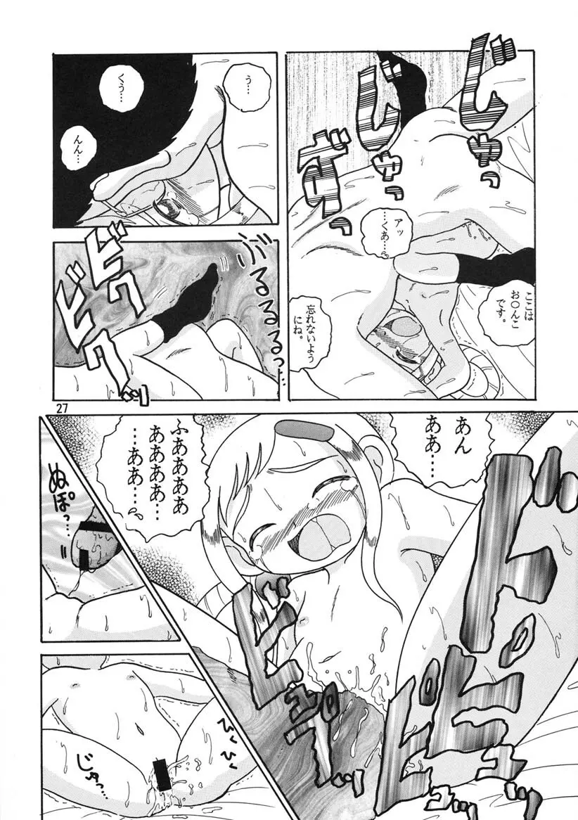 HI-PHS Ⅴ Page.26